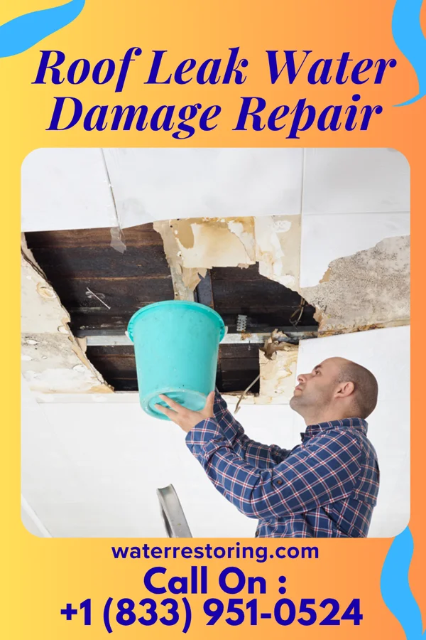 Roof Leak Water Damage Repair in Rainbow Lakes, NJ