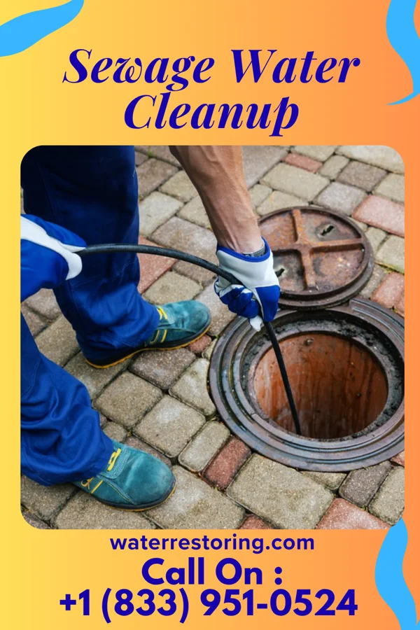 Sewage Water Cleanup in Rainbow Lakes, NJ