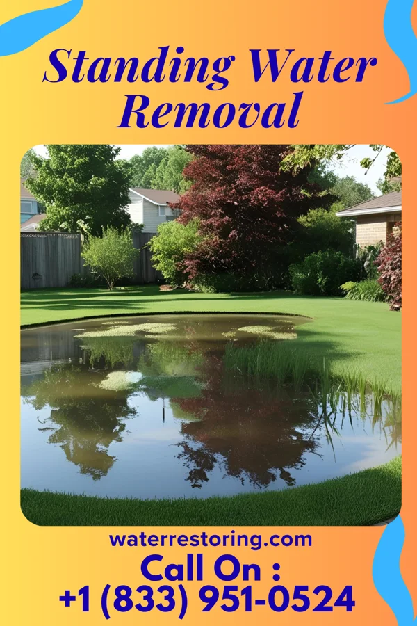 Standing Water Removal in Rainbow Lakes, NJ